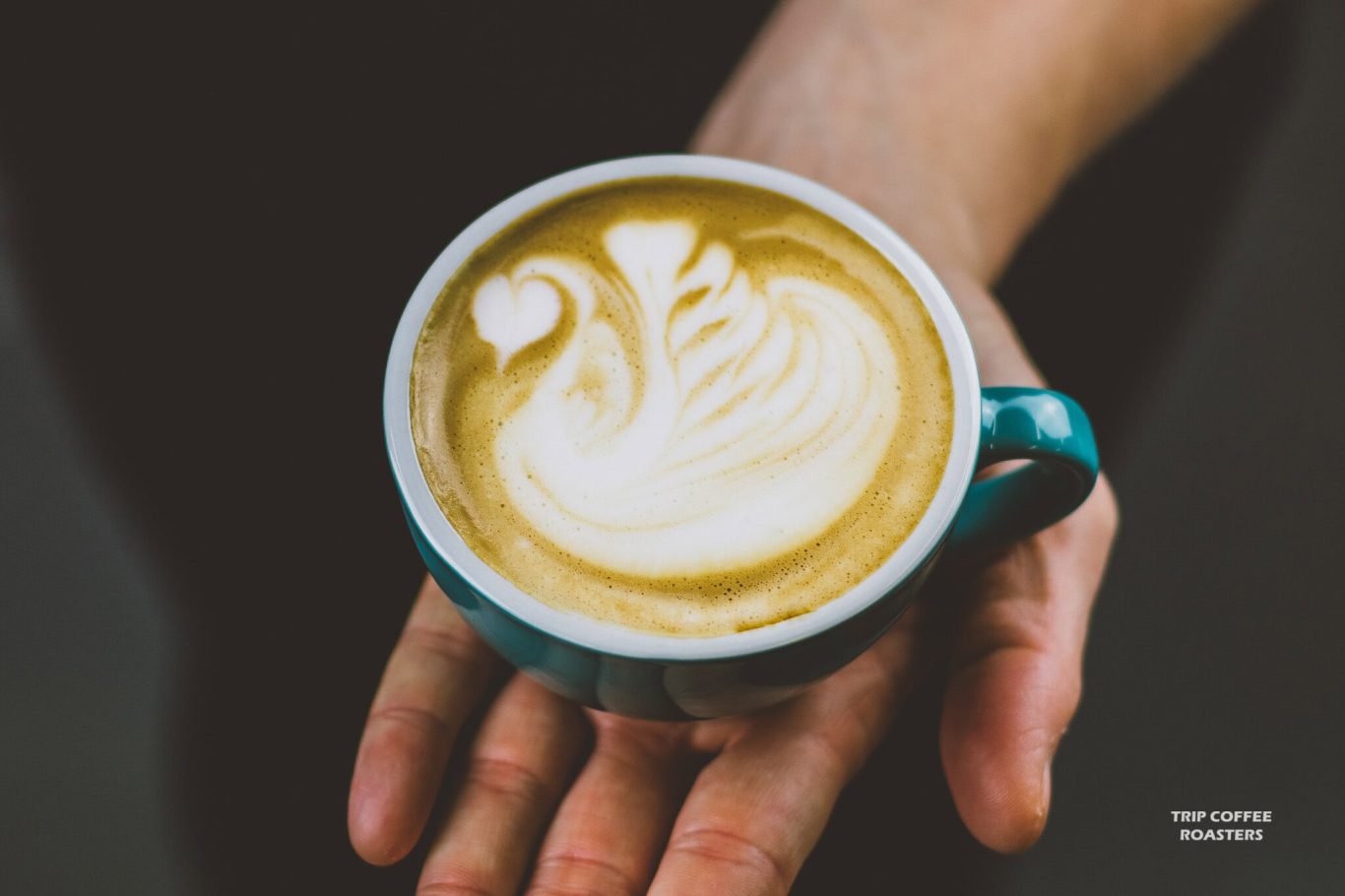 1J7A0376 1 - Trip Coffee Roasters Slovensko